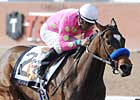 Oaks: Workouts and Churchill Arrivals