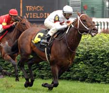 Gaff Makes Right Moves in Aegon Turf Sprint Gaff Makes Right Moves in Aegon Turf Sprint