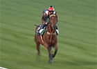 Melbourne Cup Carnival - Gai Waterhouse