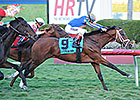 Palm Beach Winner Could Land on Derby Trail Palm Beach Winner Could Land on Derby Trail