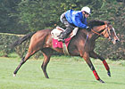 Seven Group I Races on Arc de Triomphe Day