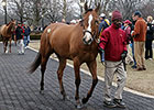 Fasig-Tipton Winter Opening Results Mixed Fasig-Tipton Winter Opening Results Mixed