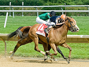 Gamay Noir Charges From Last for Obeah Win Gamay Noir Charges From Last for Obeah Win