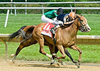 Gamay Noir Charges From Last for Obeah Win Gamay Noir Charges From Last for Obeah Win