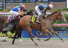 Gamay Noir Picks Up Rampart Pieces at 49-1 Gamay Noir Picks Up Rampart Pieces at 49-1