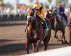 Game Face Gets Serious in Gulf Rematch