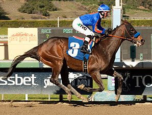 Game On Dude Looks Super in San Antonio Game On Dude Looks Super in San Antonio