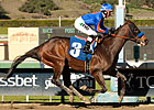 Game On Dude Looks Super in San Antonio