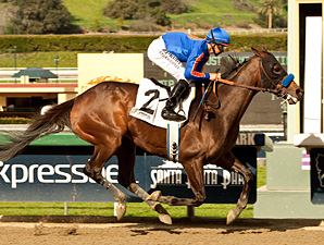 Game On Dude Looks Super in San Antonio Game On Dude Looks Super in San Antonio
