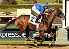 Game On Dude Looks Super in San Antonio Game On Dude Looks Super in San Antonio