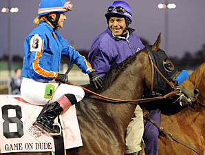 American Horses Land Safely in Dubai American Horses Land Safely in Dubai