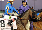 American Horses Land Safely in Dubai American Horses Land Safely in Dubai