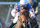 Baffert Looks For Fourth Lone Star Derby Win Baffert Looks For Fourth Lone Star Derby Win