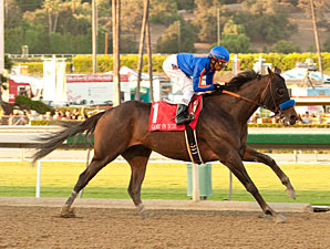 Game On Dude Aces Awesome Again Test Game On Dude Aces Awesome Again Test