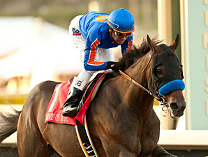 Game On Dude Draws Rail for Native Diver Game On Dude Draws Rail for Native Diver