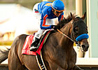 Game On Dude Leads Cup Workers at Santa Anita