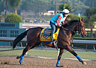 Baffert Duo Drill for Weekend Stakes Baffert Duo Drill for Weekend Stakes