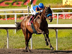 'Dude' On His Game in Californian Comeback 'Dude' On His Game in Californian Comeback