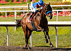'Dude' On His Game in Californian Comeback