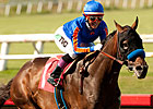 Game On Dude Heads Hollywood Gold Cup Noms Game On Dude Heads Hollywood Gold Cup Noms