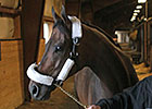 Game On Dude Arrives for Charles Town Classic Game On Dude Arrives for Charles Town Classic