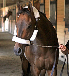 Game On Dude Arrives at Charles Town Game On Dude Arrives at Charles Town