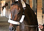 Game On Dude Arrives at Charles Town