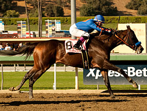 Game On Dude Determined Winner in Goodwood Game On Dude Determined Winner in Goodwood