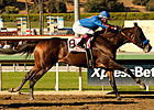 Game On Dude Determined Winner in Goodwood