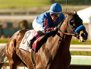 Baffert Upbeat on Dubai After 'Dude' Works Baffert Upbeat on Dubai After 'Dude' Works