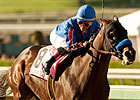 Baffert Upbeat on Dubai After 'Dude' Works Baffert Upbeat on Dubai After 'Dude' Works