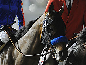 Californian: Game On Dude Meets Morning Line Californian: Game On Dude Meets Morning Line