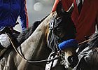 Californian: Game On Dude Meets Morning Line