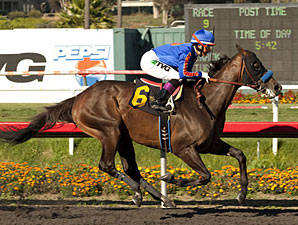 Baffert 'Moving Forward' in Pacific Classic