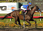 Baffert 'Moving Forward' in Pacific Classic