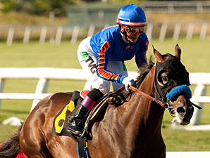 Hollywood Gold Cup: No Denying Dude This Time Hollywood Gold Cup: No Denying Dude This Time