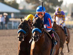 The Whitney Holds Breeders' Cup Classic Berth The Whitney Holds Breeders' Cup Classic Berth