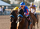 The Whitney Holds Breeders' Cup Classic Berth