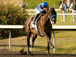 Game On Dude Has Eventful Drill at Del Mar Game On Dude Has Eventful Drill at Del Mar