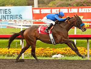 Game On Dude Delivers Gritty Native Diver Win Game On Dude Delivers Gritty Native Diver Win