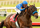 'Dude' Set for Super Tuneup in San Antonio 'Dude' Set for Super Tuneup in San Antonio