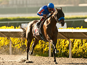 Game On Dude Spectacular in Pacific Classic Game On Dude Spectacular in Pacific Classic