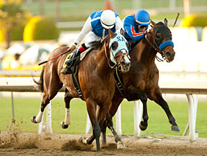 No Dubai World Cup for Game On Dude No Dubai World Cup for Game On Dude