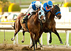 No Dubai World Cup for Game On Dude