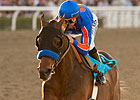 Baffert Feels 'Dude' is Better Than Ever Baffert Feels 'Dude' is Better Than Ever