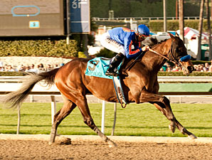 Game On Dude, Ron the Greek in CT Classic Game On Dude, Ron the Greek in CT Classic