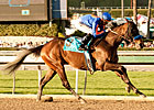 Game On Dude, Ron the Greek in CT Classic Game On Dude, Ron the Greek in CT Classic