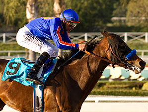Hollywood Gold Cup All About Game On Dude Hollywood Gold Cup All About Game On Dude