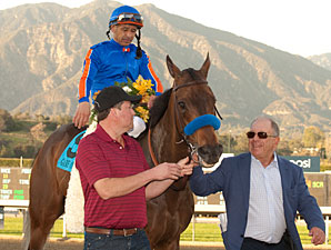 Game On Dude Among 52 CT Classic Nominees Game On Dude Among 52 CT Classic Nominees