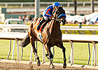 Santa Anita Handicap Handle Increases 23% Santa Anita Handicap Handle Increases 23%